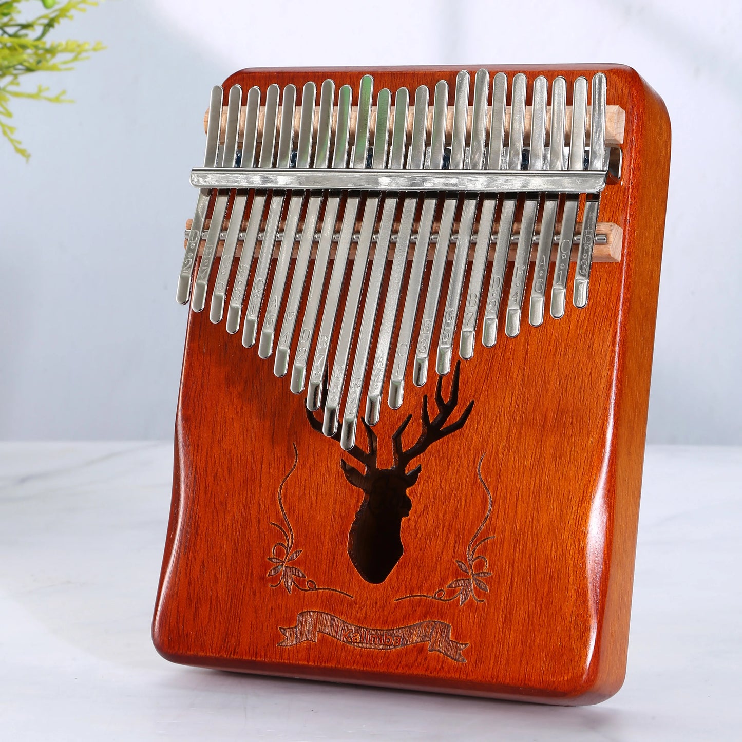 Édition Forêt Enchantée