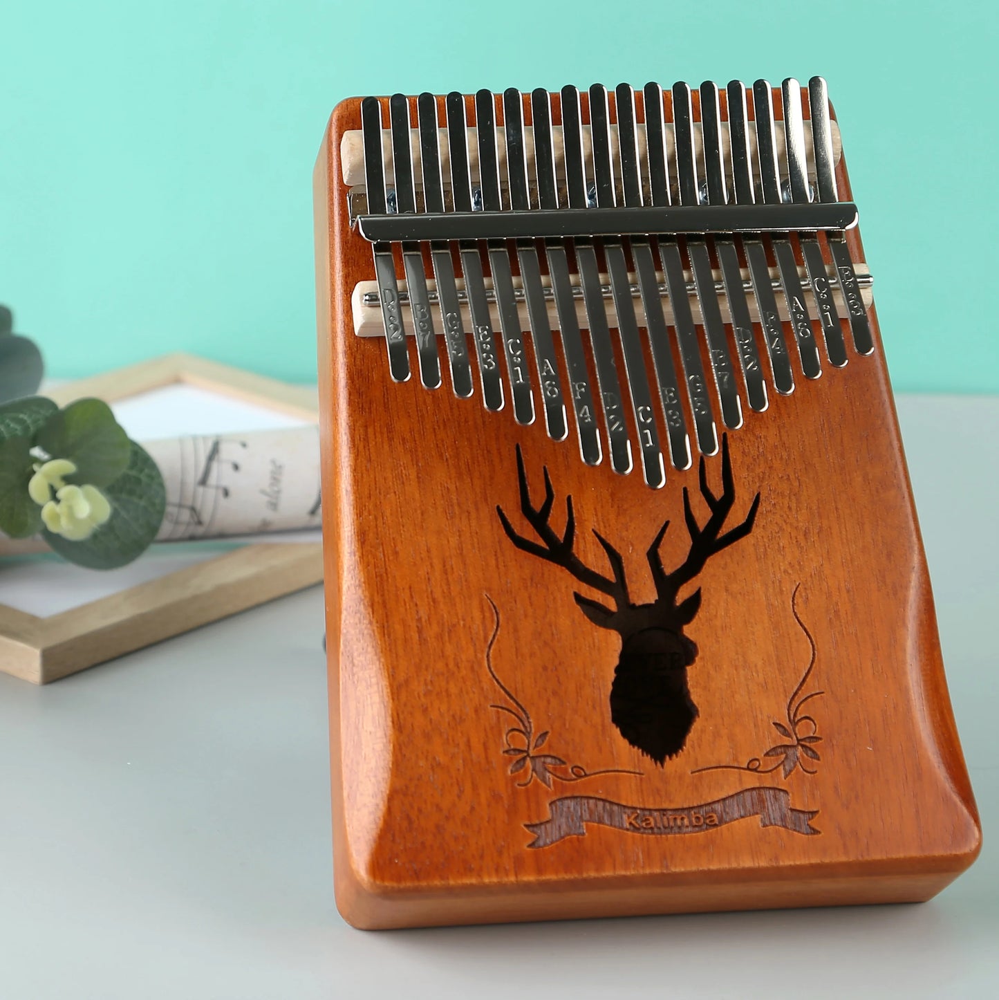Édition Forêt Enchantée